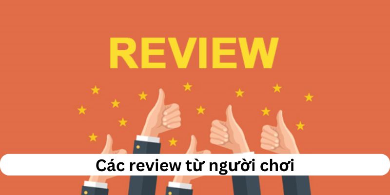 Các review từ người chơi