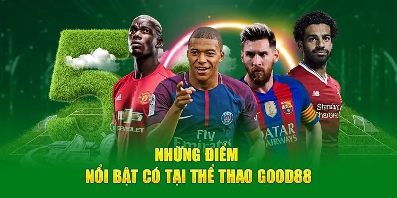 Điểm khiến cho sảnh thể thao này trở thành xu hướng